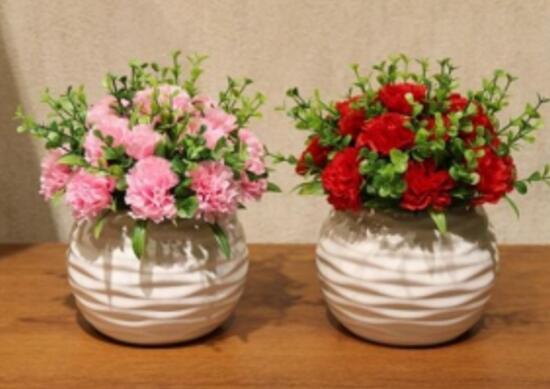 康乃馨怎麼養，康乃馨的養殖方法和注意事項