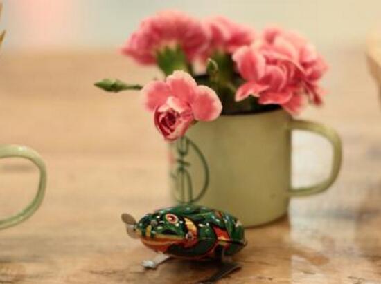 康乃馨怎麼養，康乃馨的養殖方法和注意事項