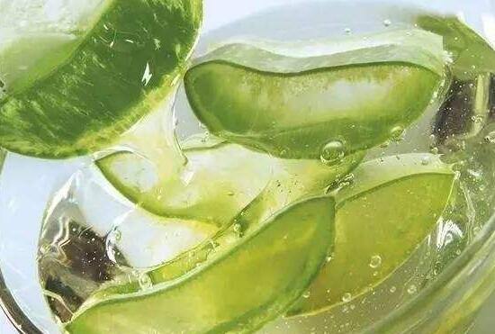 蘆薈能直接塗在臉上嗎，蘆薈膠的功效與作用