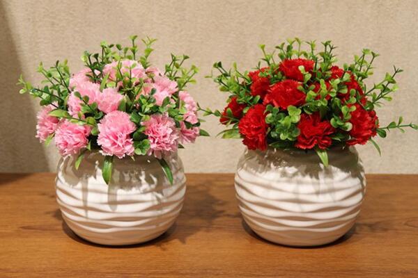 康乃馨花謝後怎麼處理，修剪以及補充營養