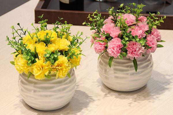 康乃馨花怎麼養，康乃馨養殖的5大要點