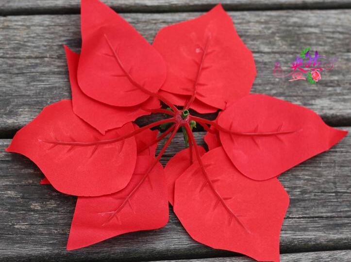 一品紅花放室內對身體有害嗎,可以放在室內但是不要碰到它的汁液