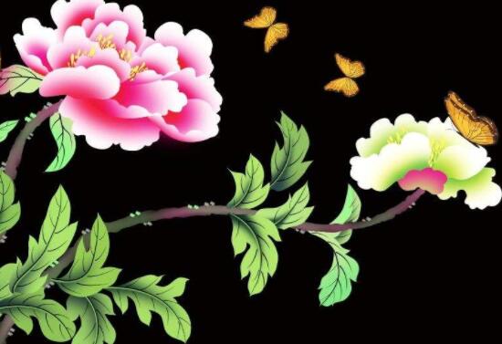 牡丹花為什麼不能進家門,生長環境不適/風水氣勢強大(危害性強)