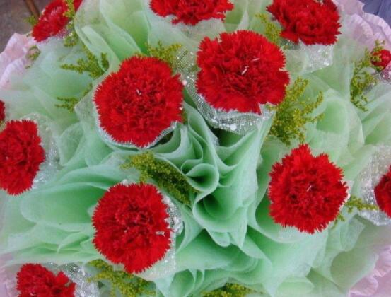 康乃馨各色花語及象征意義，表達對母親深深的愛