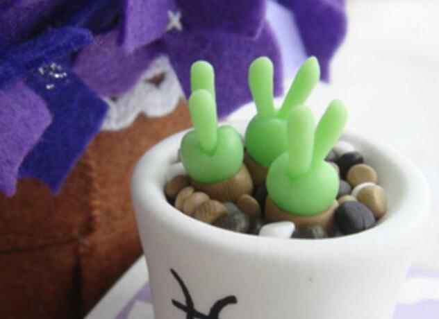碧光環用什麼樣的土,最好配製適合植物生長的透氣土壤