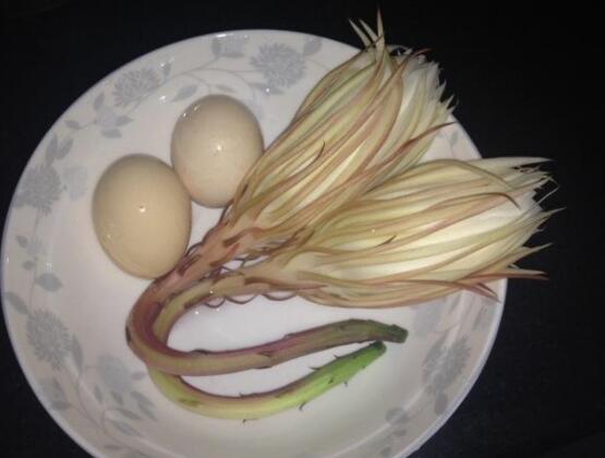 新鮮曇花怎麼吃,泡茶喝最為簡單食用(價值高)
