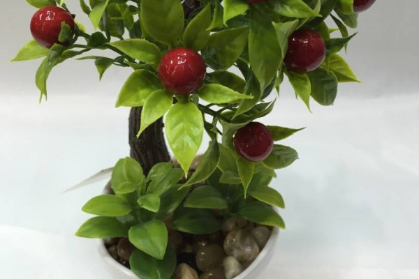 盆栽櫻桃樹怎麼養,盆栽過程中修剪樹形促花促果