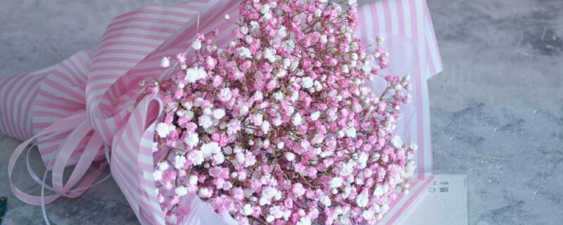 幹花滿天星如何製作