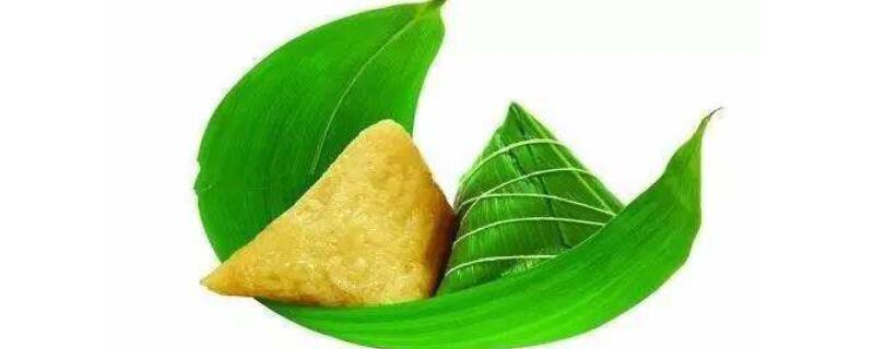 粽子葉是什麼植物的葉子