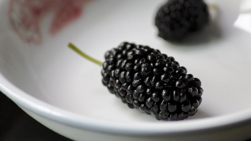 桑葚怎麼洗