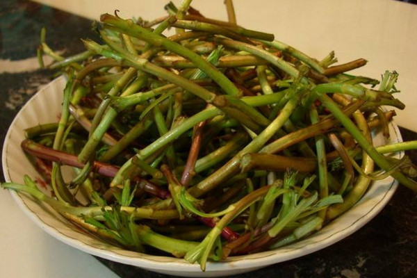 藜蒿葉子怎麼吃