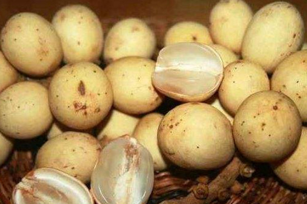 都古是什麼水果