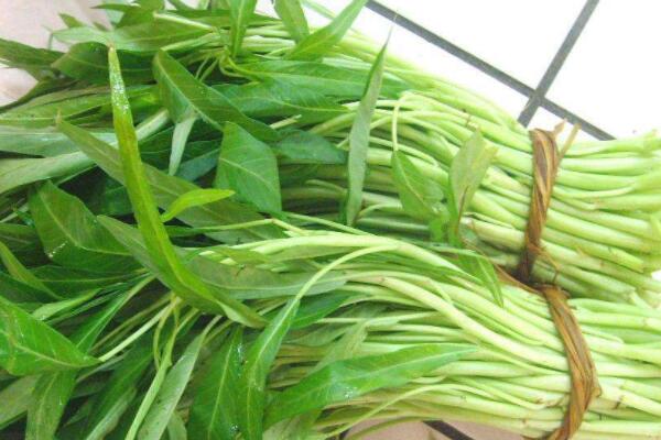 空心菜發黃是怎麼回事