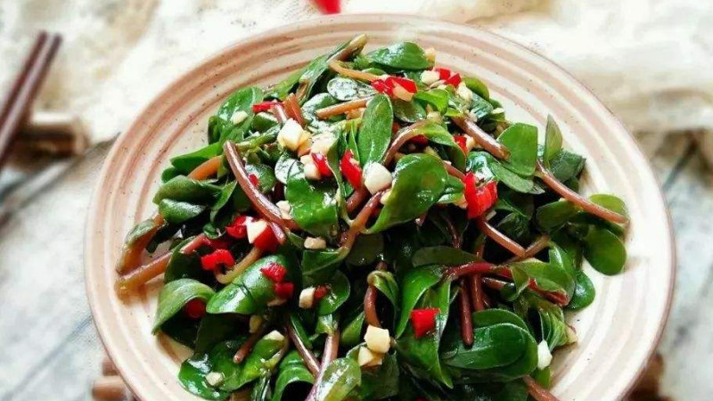 馬齒莧怎麼吃