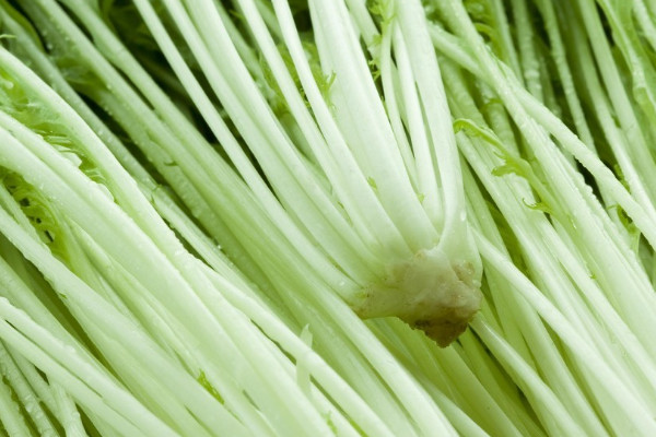 野臘菜的學名叫什麼