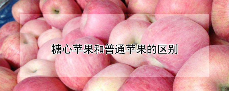糖心蘋果和普通蘋果的區別