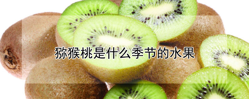 獼猴桃是什麼季節的水果