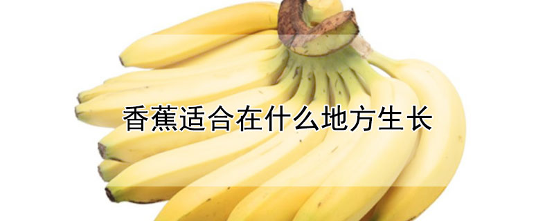 香蕉適合在什麼地方生長