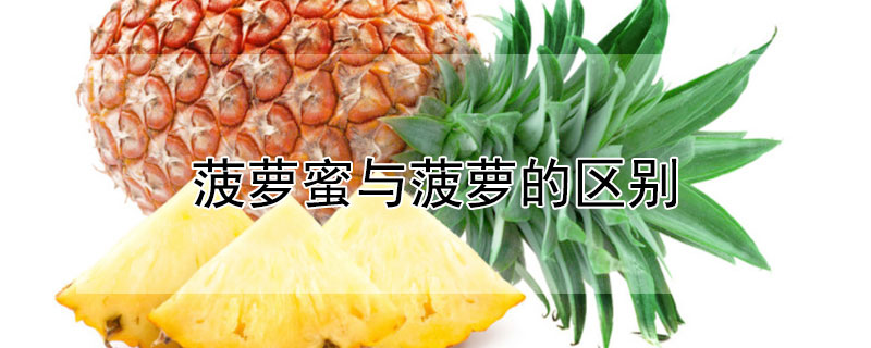 菠蘿蜜與菠蘿的區別