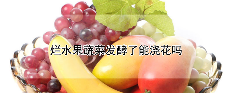 爛水果蔬菜發酵了能澆花嗎