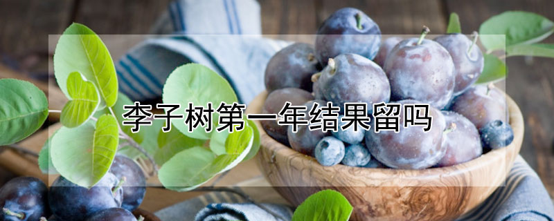 李子樹第一年結果留嗎