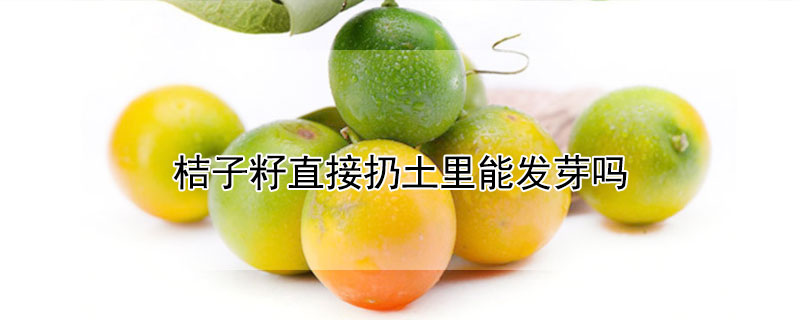 桔子籽直接扔土裏能發芽嗎