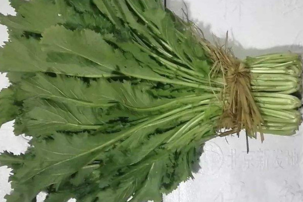 農村的臘菜是什麼菜