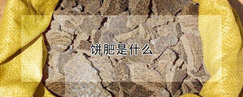 餅肥是什麼