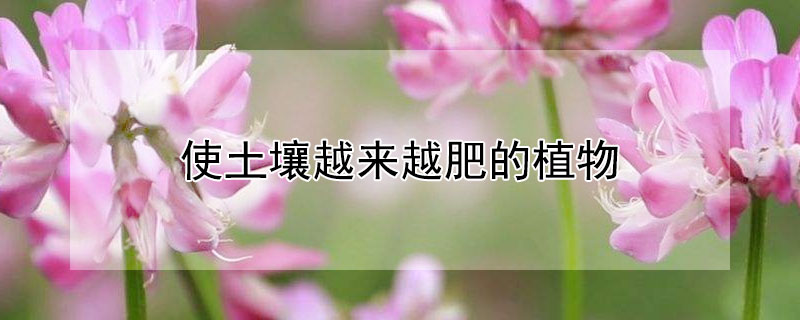 使土壤越來越肥的植物