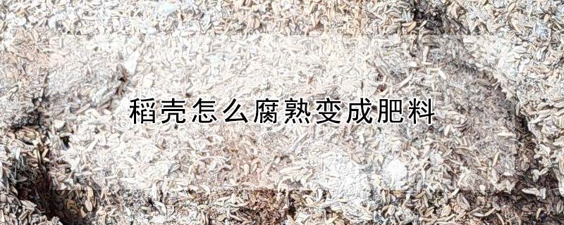 稻殼怎麼腐熟變成肥料