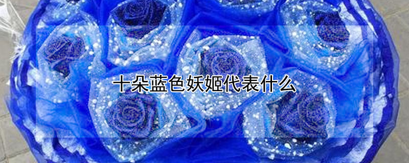 十朵藍色妖姬代表什麼
