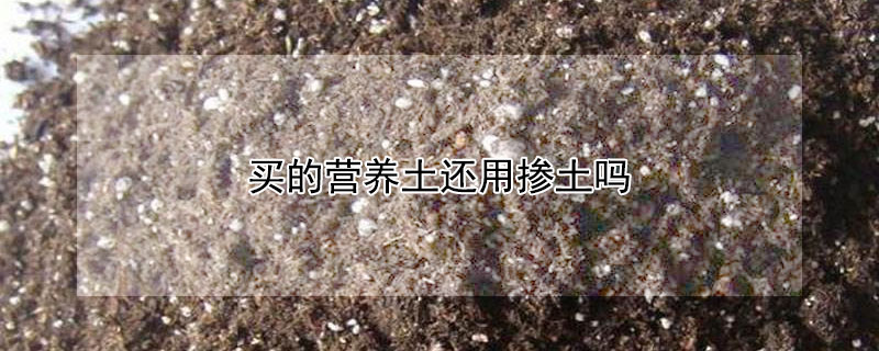 買的營養土還用摻土嗎