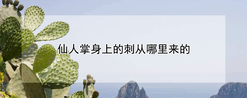 仙人掌身上的刺從哪裏來的