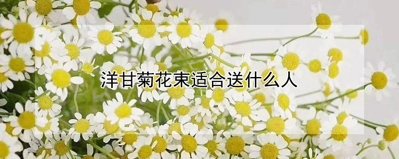 洋甘菊花束適合送什麼人