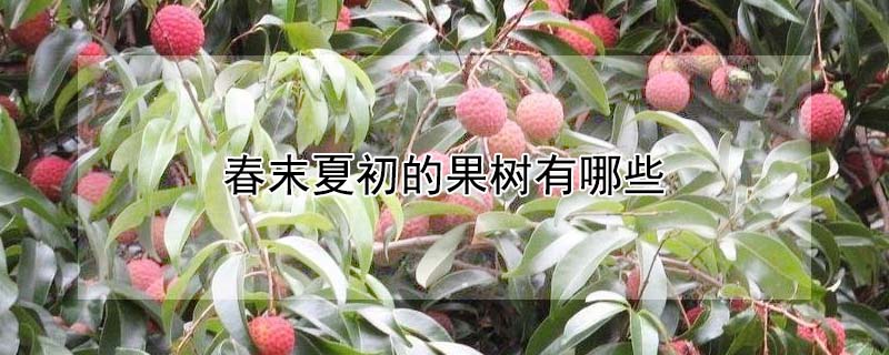 春末夏初的果樹有哪些