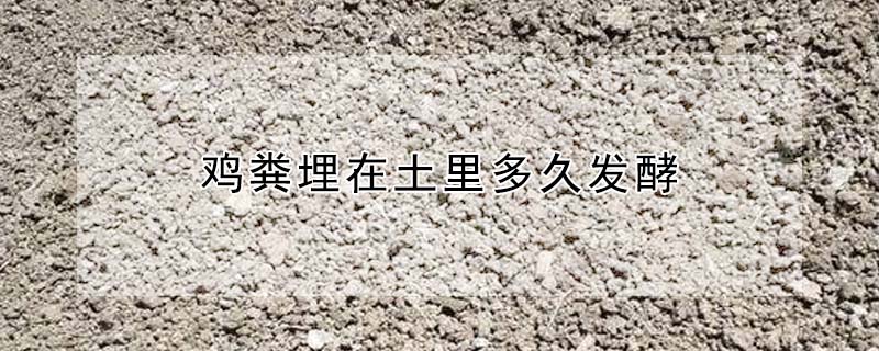 雞糞埋在土裏多久發酵