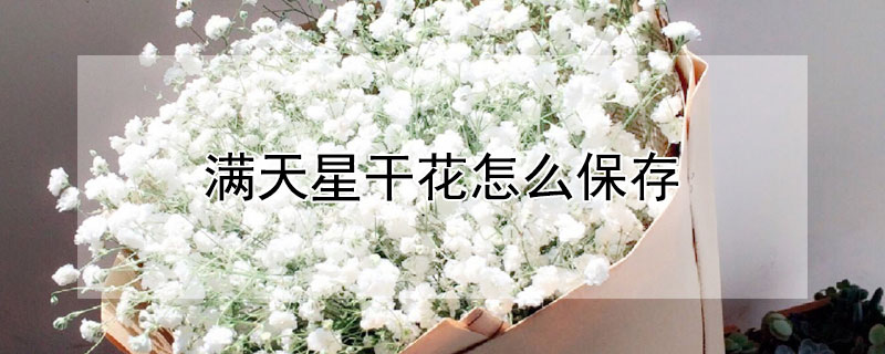 滿天星幹花怎麼保存