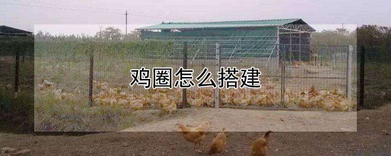 雞圈怎麼搭建