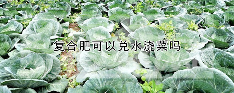 複合肥可以兌水澆菜嗎