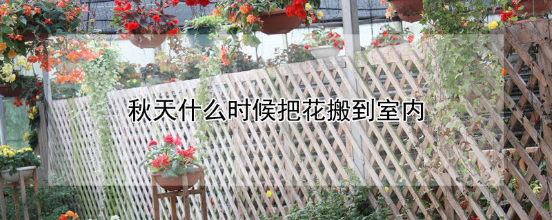 秋天什麼時候把花搬到室內