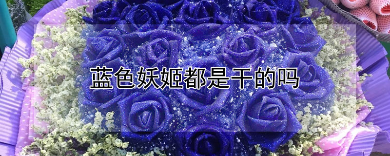 藍色妖姬都是幹的嗎