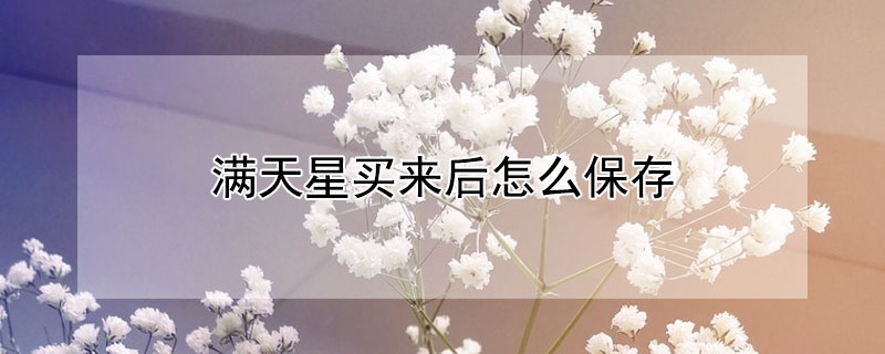 滿天星買來後怎麼保存