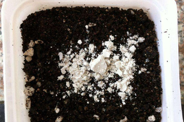 生根粉怎麼用