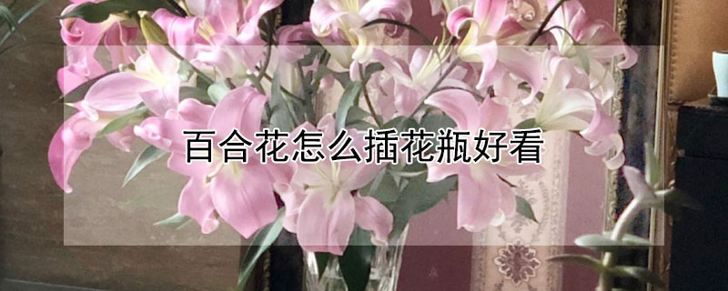 百合花怎麼插花瓶好看