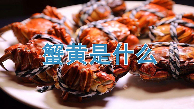蟹黃是什麼