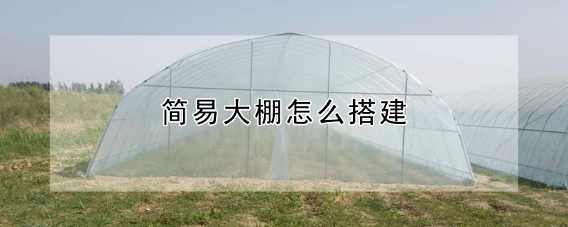 簡易大棚怎麼搭建