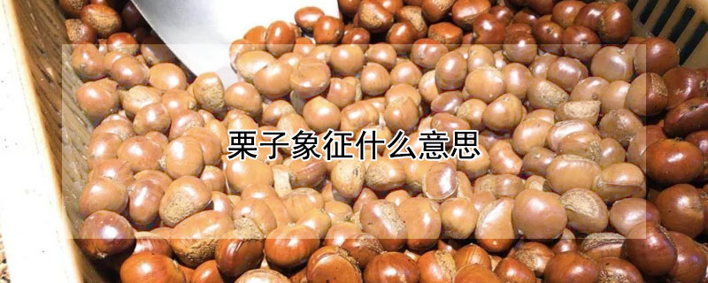 栗子象征什麼意思