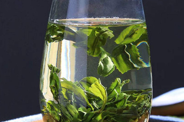 六安瓜片是什麼茶