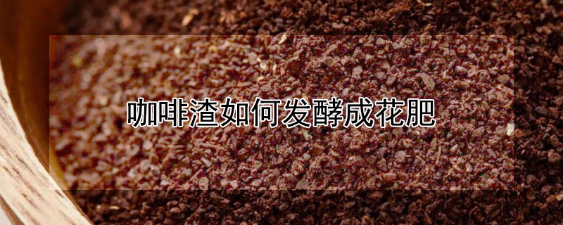 咖啡渣如何發酵成花肥