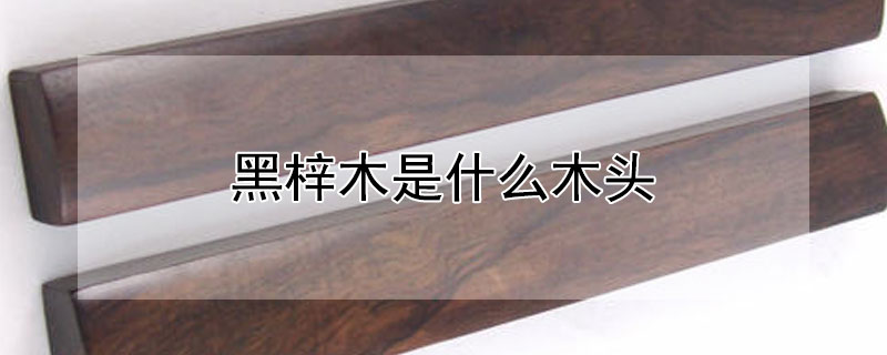 黑梓木是什麼木頭